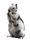 Free Animated Gif