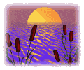 Free Animated Gif