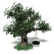 Free Animated Gif