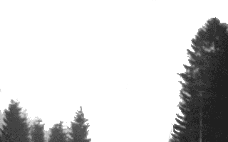 Free Animated Gif