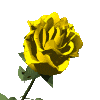 Free Animated Gif