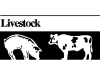 Sticker Custom Preview Image #000049 Advertising Classified Headings Livestock