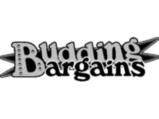 Sticker Custom Preview Image #000180 Advertising Sales Promos Budding Bargains