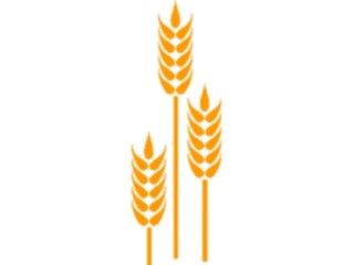 Sticker Custom Preview Image #000977 Agriculture Wheat2
