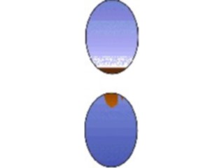 Sticker Custom Preview Image #004952 Alphabets General Horizon Horizon Condensed Punc18