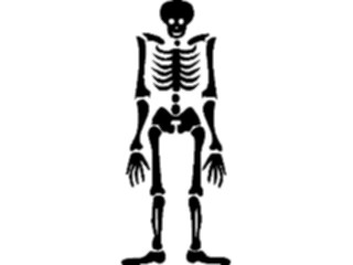 Sticker Custom Preview Image #008765 Alphabets General Skeleton Skeleton I