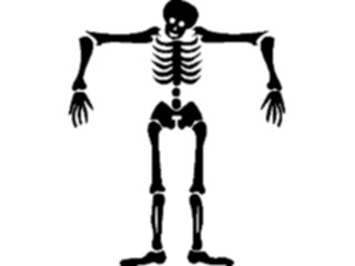 Sticker Custom Preview Image #008776 Alphabets General Skeleton Skeleton T