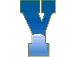 Sticker Custom Preview Image #008907 Alphabets General Sky Sky Condensed Y1