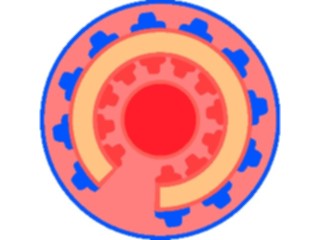 Sticker Custom Preview Image #013540 Americana Native Designs Rosette23