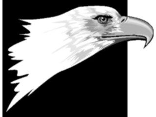 Sticker Custom Preview Image #013878 Americana Symbols History Eagle04