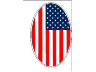 Sticker Custom Preview Image #014003 Americana Symbols History Flag Background