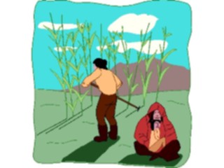 Sticker Custom Preview Image #014068 Americana Symbols History Growing Maize