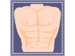 Sticker Custom Preview Image #014517 Anatomy Abdomen1