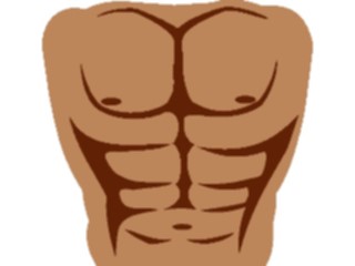 Sticker Custom Preview Image #014518 Anatomy Abdomen2