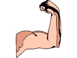 Sticker Custom Preview Image #014531 Anatomy Bicep3