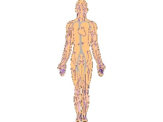 Sticker Custom Preview Image #014535 Anatomy Body2