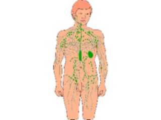 Sticker Custom Preview Image #014537 Anatomy Body4