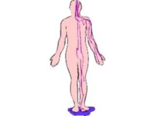 Sticker Custom Preview Image #014540 Anatomy Body7