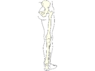 Sticker Custom Preview Image #014567 Anatomy Bones Leg2