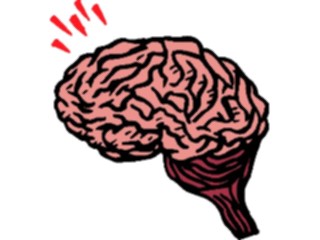 Sticker Custom Preview Image #014572 Anatomy Brain2