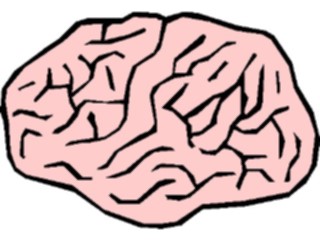 Sticker Custom Preview Image #014574 Anatomy Brain4