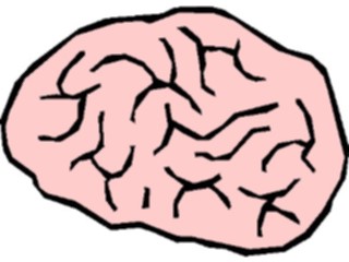 Sticker Custom Preview Image #014576 Anatomy Brain6