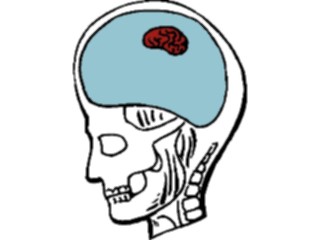 Sticker Custom Preview Image #014588 Anatomy Brain Tiny