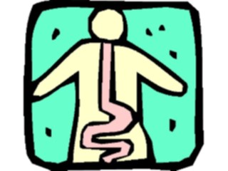 Sticker Custom Preview Image #014600 Anatomy Digestive Tract1