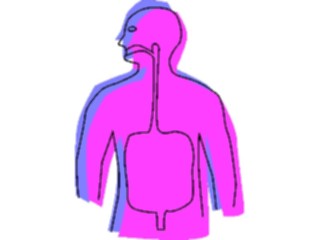 Sticker Custom Preview Image #014601 Anatomy Digestive Tract2