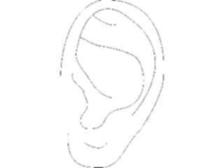 Sticker Custom Preview Image #014605 Anatomy Ear4