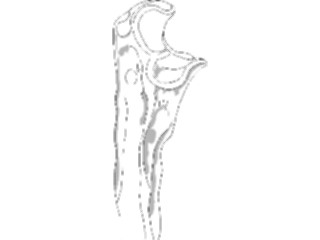 Sticker Custom Preview Image #014613 Anatomy Elbow2