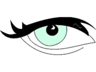 Sticker Custom Preview Image #014615 Anatomy Eye02