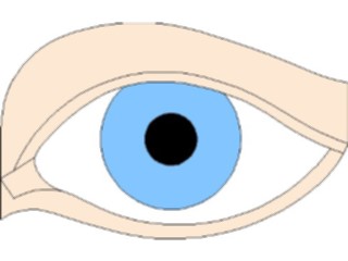 Sticker Custom Preview Image #014616 Anatomy Eye03