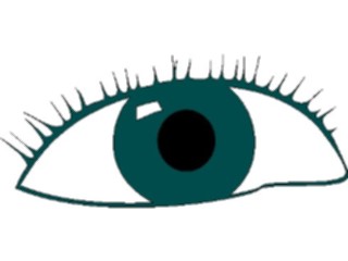 Sticker Custom Preview Image #014617 Anatomy Eye04