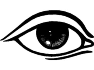 Sticker Custom Preview Image #014625 Anatomy Eye12