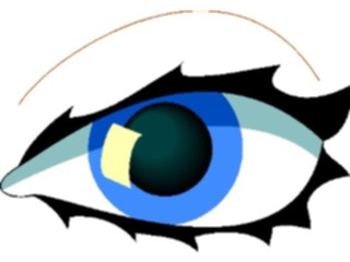 Sticker Custom Preview Image #014626 Anatomy Eye13