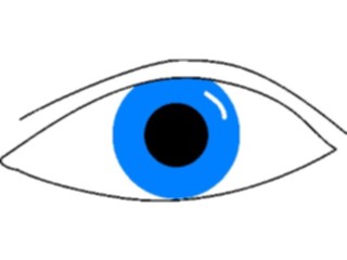 Sticker Custom Preview Image #014628 Anatomy Eye15