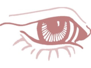 Sticker Custom Preview Image #014629 Anatomy Eye16