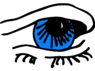 Sticker Custom Preview Image #014630 Anatomy Eye17