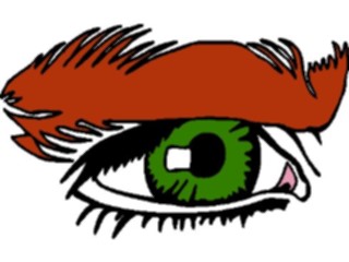 Sticker Custom Preview Image #014632 Anatomy Eye19