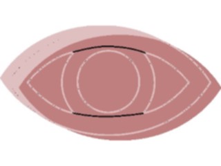 Sticker Custom Preview Image #014636 Anatomy Eye23