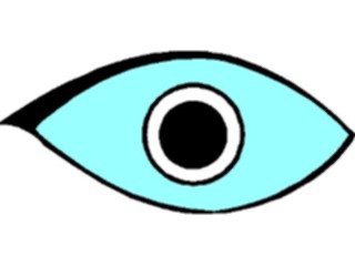 Sticker Custom Preview Image #014638 Anatomy Eye25