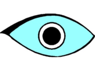 Sticker Custom Preview Image #014638 Anatomy Eye25