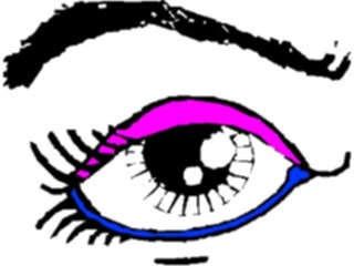 Sticker Custom Preview Image #014639 Anatomy Eye26