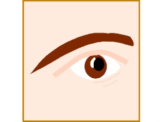 Sticker Custom Preview Image #014643 Anatomy Eye Eyebrow