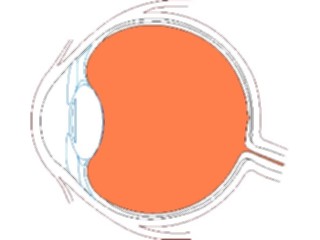 Sticker Custom Preview Image #014645 Anatomy Eye Inner2