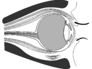 Sticker Custom Preview Image #014647 Anatomy Eye Inner4