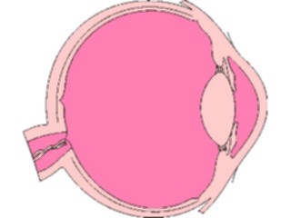 Sticker Custom Preview Image #014648 Anatomy Eye Inner5