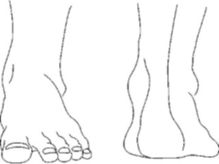 Sticker Custom Preview Image #014661 Anatomy Feet2