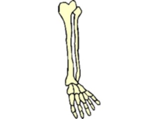 Sticker Custom Preview Image #014673 Anatomy Foot Leg1